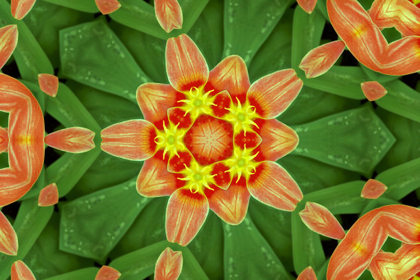 多色花卉点缀图片下载