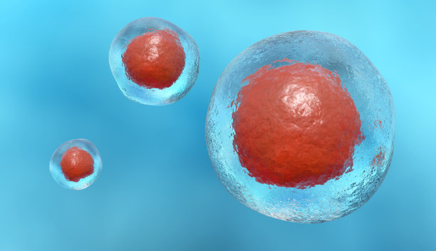 干细胞素材图片