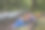 一对夫妇在河边的自然环境中使用笔记本电脑图片下载