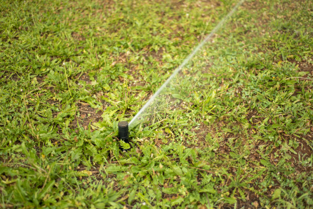 高角度的草坪洒水器浇灌草坪图片下载