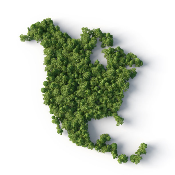 北美森林图片下载