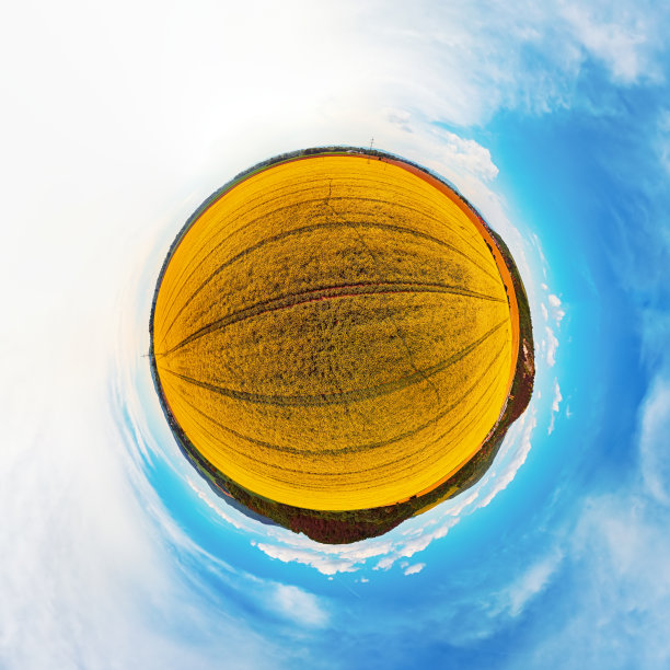 小星球的油菜籽盛开的全景。图片下载