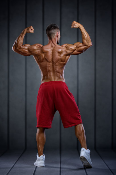 弯曲的肌肉图片下载