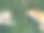 两只狗在草地上玩耍，中间是抄写空间图片下载