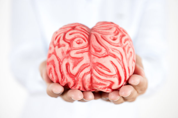 保持大脑图片下载