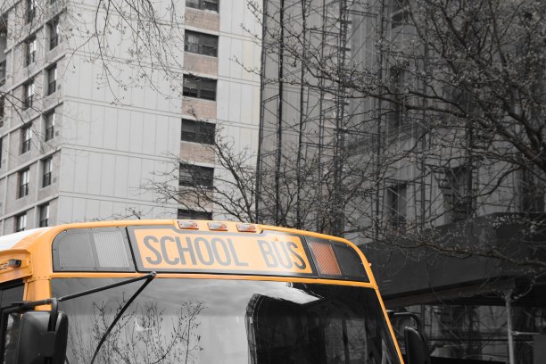 纽约黄色校车图片下载