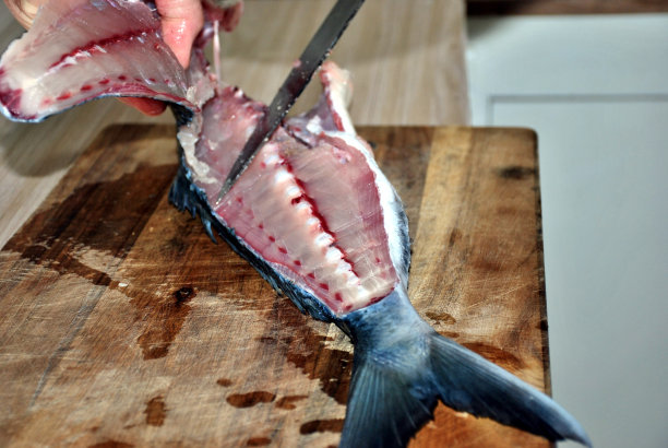 夏天，人们准备捕到的鱼图片下载