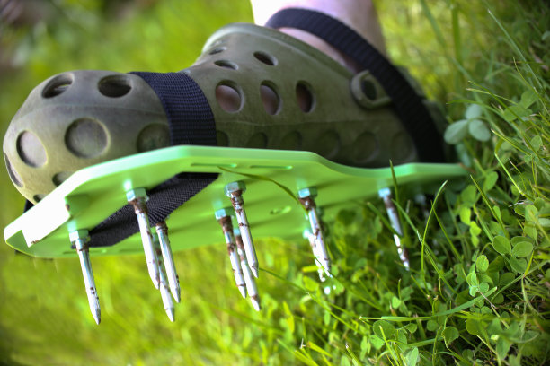 草坪凉鞋图片下载