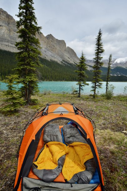 营最高。图片下载