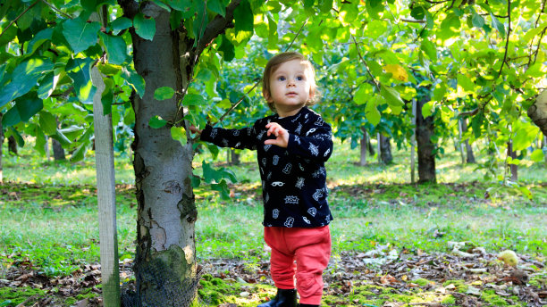 笑声的宝宝在院子里玩耍图片下载