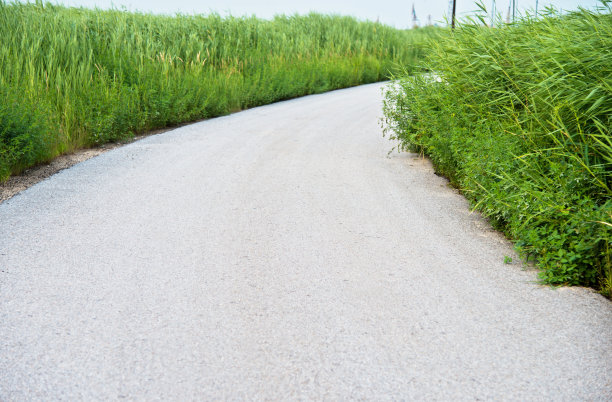 柏油路穿过绿草图片下载
