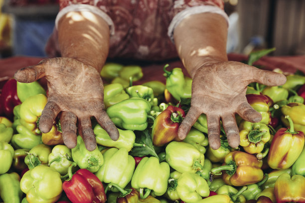农夫的手图片下载