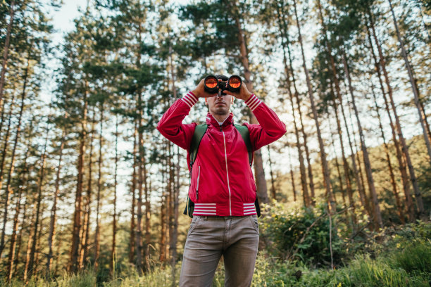 年轻的探险家用双筒望远镜看东西图片下载