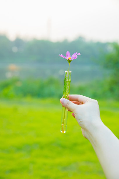 手持管与花图片下载