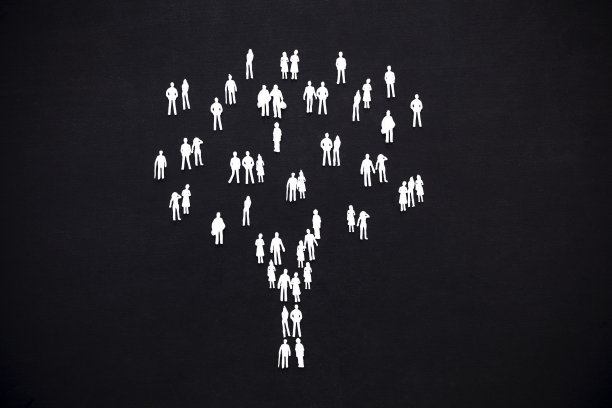 人类的树图片下载