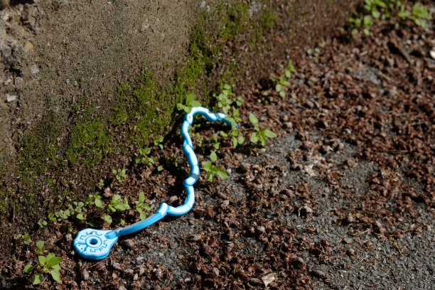 塑料玩具图片下载