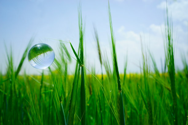 绿色水晶球乡村-环境概念图片下载