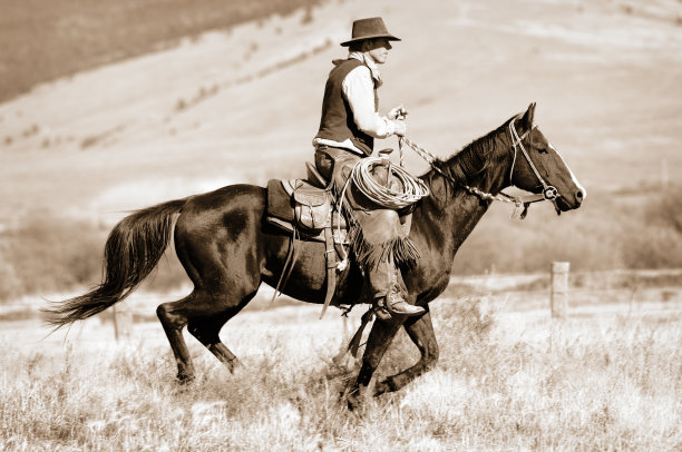 骑在快马上的牛仔图片下载