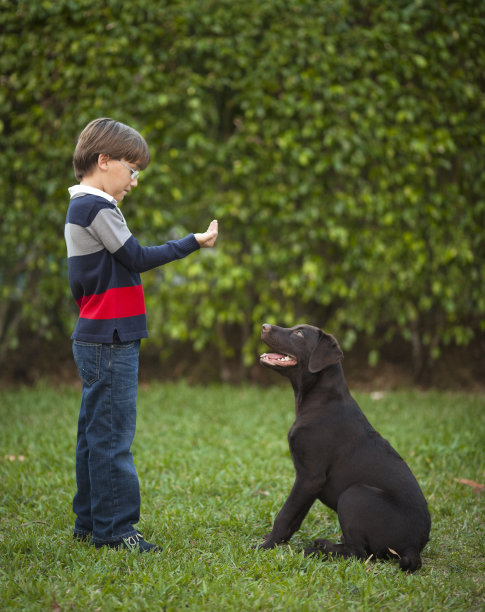 男孩教他的狗。图片下载