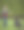 男孩教他的狗。图片下载