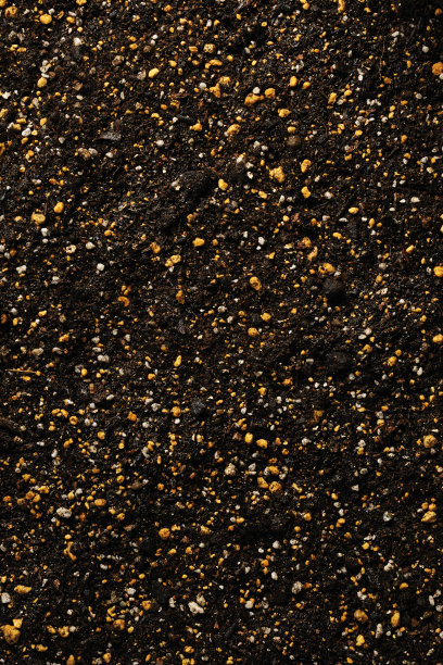 湿腐质土壤质地背景图片下载