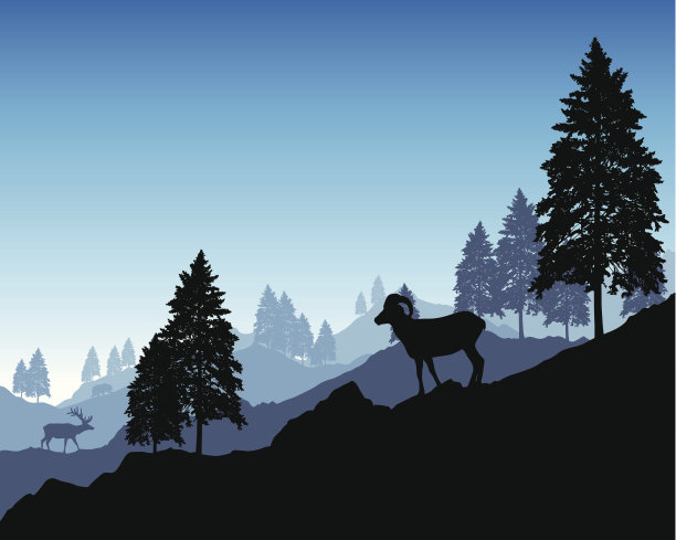 山景观图片下载