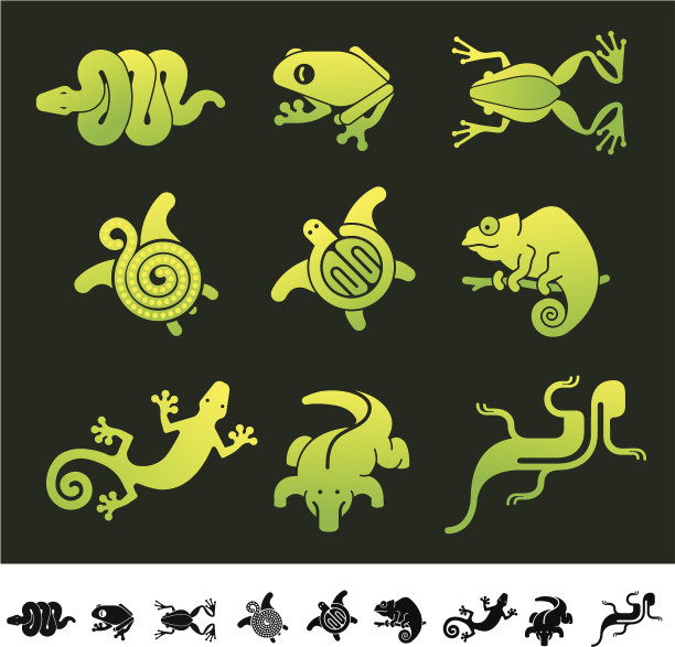 爬行动物图片下载