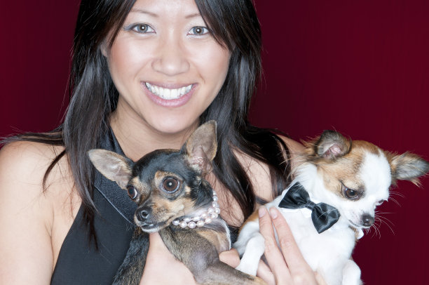 迷人的女人和她的吉娃娃狗- IV图片下载