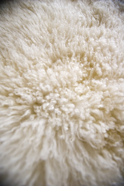 羊皮地毯羊毛地毯图片下载