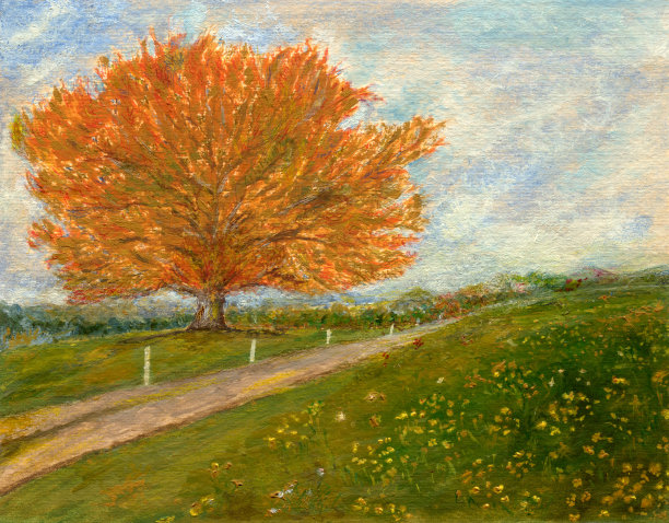 森林插画素材ID：152504770