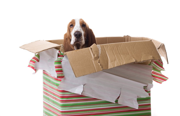 圣诞节我想要的…图片下载