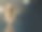 奖杯照片素材ID：152519524