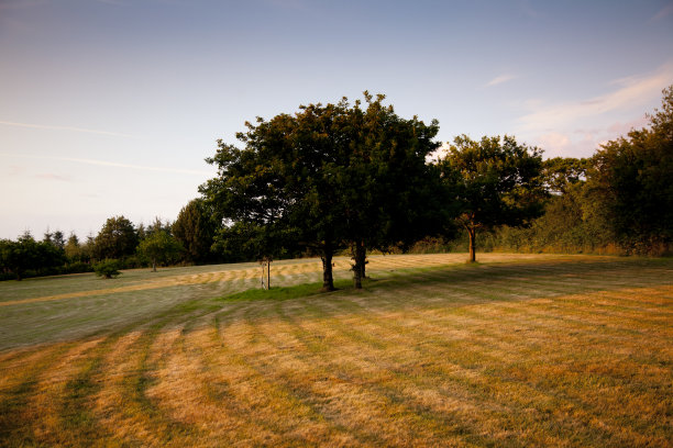 公园黄昏图片下载