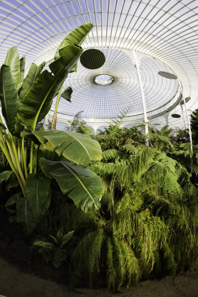 吊桶宫图片下载