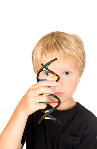 研究DNA双螺旋模型的男孩图片下载