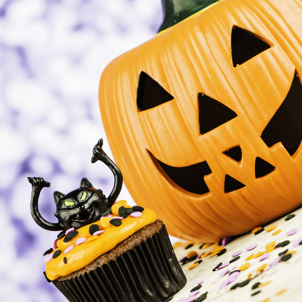 万圣节小黑猫纸杯蛋糕和大南瓜图片下载