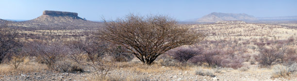 纳米比亚Vingerklip附近的风景图片下载