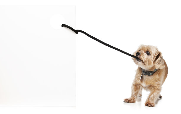 狗把标志图片下载