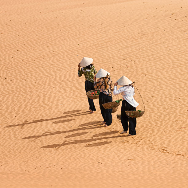 三个越南女人正在穿越沙丘图片下载