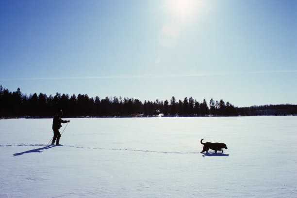 越野滑雪者和他的狗图片下载