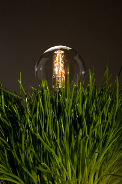 绿色能源的灯泡图片下载