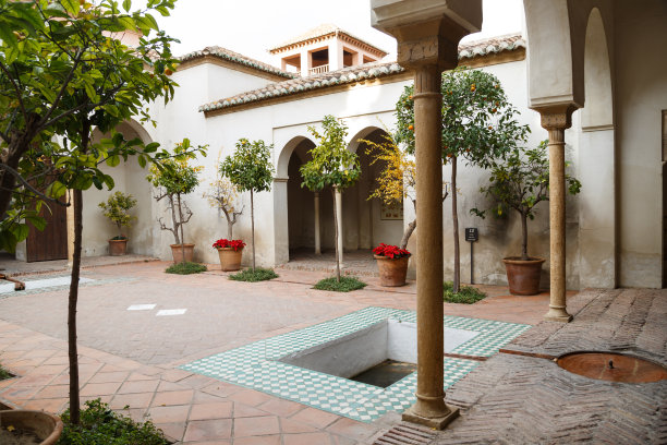 橘子庭院图片下载