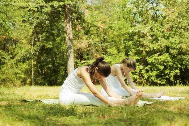 两个美丽的年轻女人在大自然里上瑜伽课。图片下载