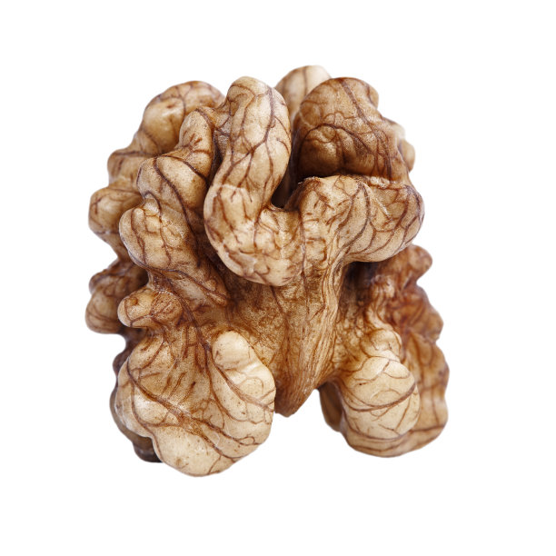 核桃核心图片下载