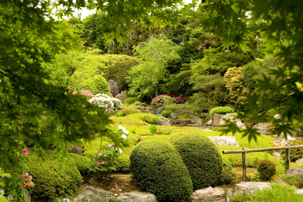 日式花园图片下载