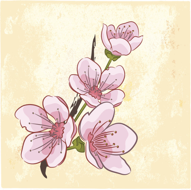 樱花支行图片下载