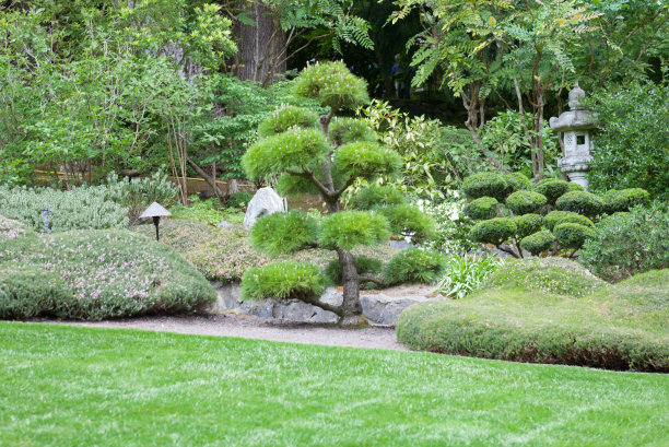 日本风格的花园图片下载