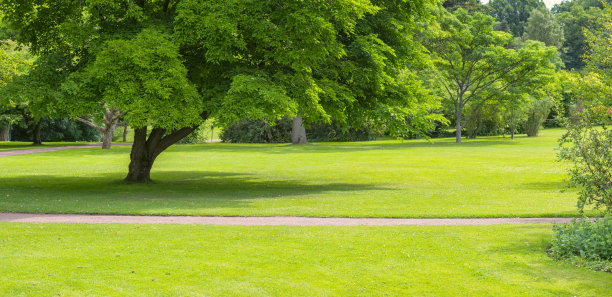 格林公园全景图片下载
