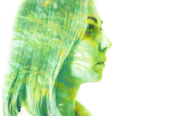 植物区系图片下载