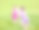 女孩们在玩水管图片下载